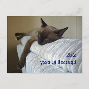 2012 Jaar van het NAP Feestdagenkaart