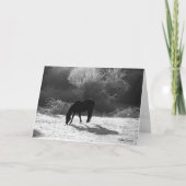 2012 Kerst Kaarten (Voorkant)