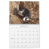2012 Kittens van Wells Ranch Kalender (Mar 2027)