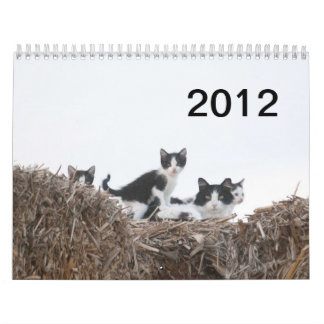 2012 Kittens van Wells Ranch Kalender