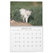 2012 Kittens van Wells Ranch Kalender (Feb 2026)
