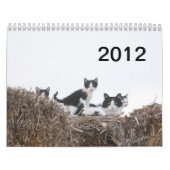 2012 Kittens van Wells Ranch Kalender (Hoes)