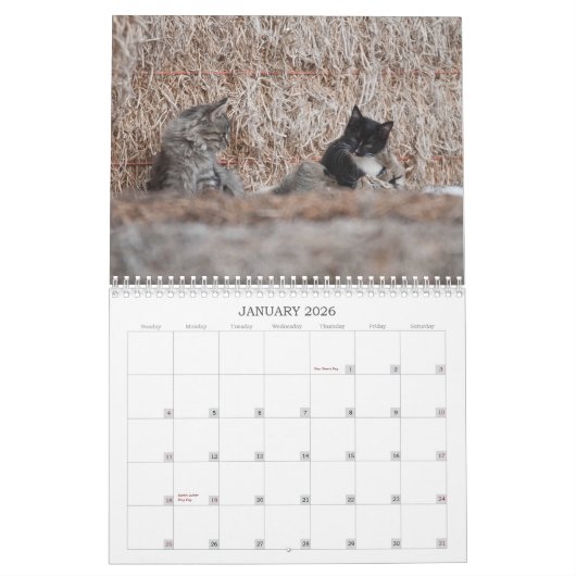 2012 Kittens van Wells Ranch Kalender (Jan 2026)