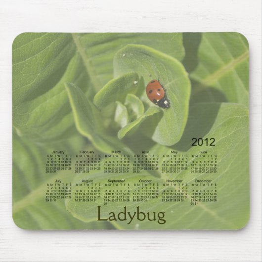 2012 Ladybug Calendar Mousepad Muismat (Voorkant)