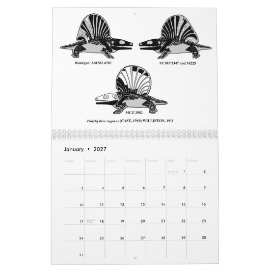 2012 Paleozoïsche en mesozoïsche schelpdieren Kalender (Jan 2027)