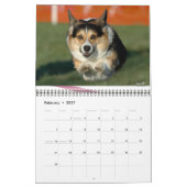 2012 Pembroke Welsh Corgi Agility Calendar Kalender (Feb 2027)