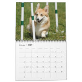 2012 Pembroke Welsh Corgi Agility Calendar Kalender (Jan 2027)