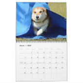 2012 Pembroke Welsh Corgi Agility Calendar Kalender (Mar 2027)
