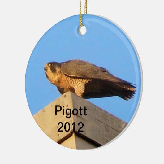 2012 Pigott Ornament (Links)