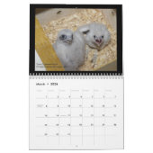 2012 Rochester Falcons in Toronto Calendar Kalender (Mar 2026)