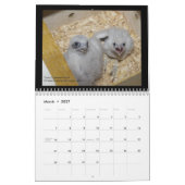 2012 Rochester Falcons in Toronto Calendar Kalender (Mar 2027)