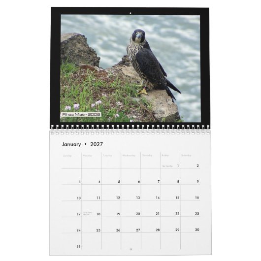 2012 Rochester Falcons in Toronto Calendar Kalender (Jan 2027)