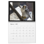 2012 Rochester Falcons in Toronto Calendar Kalender (Feb 2027)