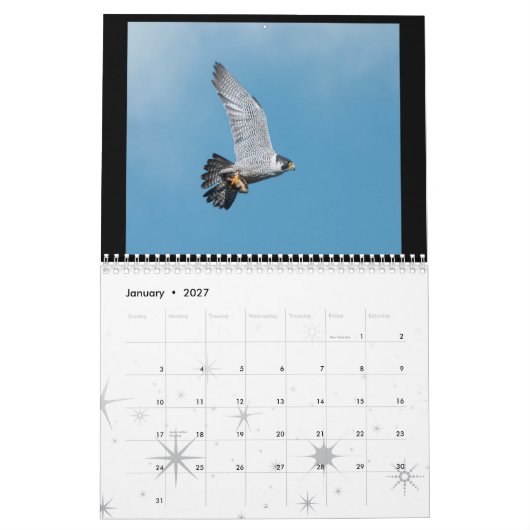 2012 Rochester Peregrine Falcon Calendar Kalender (Jan 2027)