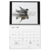 2012 Rochester Peregrine Falcon Calendar Kalender (Mar 2026)