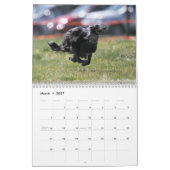 2012 Silken Windhounds in Action kalender (Mar 2027)