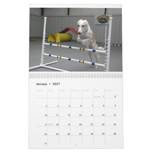 2012 Silken Windhounds in Action kalender (Jan 2027)