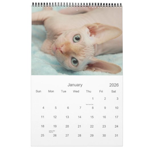 2012 Sphynx-kalender Kalender (Jan 2026)