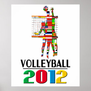 2012: Volleybal Poster