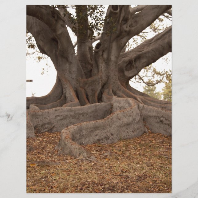 20130615_cal13_0249.jpg (Voorkant)