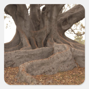 20130615_cal13_0249.jpg vierkante sticker