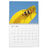 2013-2014 Bug Lover's 12-maandelijkse agenda - EGS Kalender (Mar 2026)