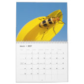 2013-2014 Bug Lover's 12-maandelijkse agenda - EGS Kalender (Mar 2027)