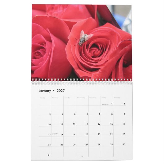 2013-2014 Bug Lover's 12-maandelijkse agenda - EGS Kalender (Jan 2027)