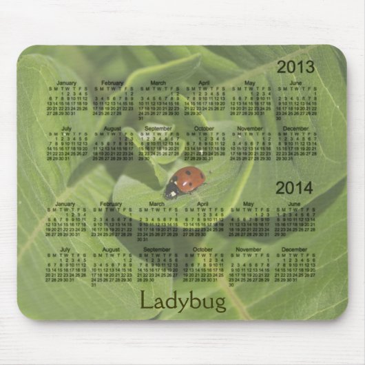 2013-2014 Ladybug Calendar Mousepad Muismat (Voorkant)