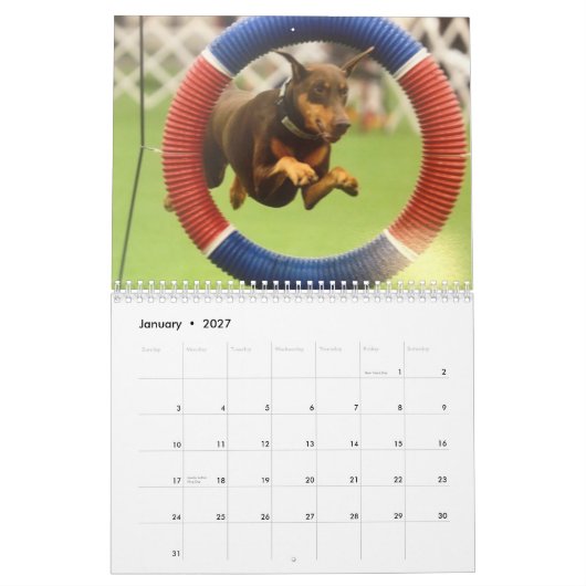 2013 Agenda van Doberman herzien februari Kalender (Jan 2027)