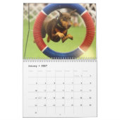 2013 Agenda van Doberman herzien november Kalender (Jan 2027)