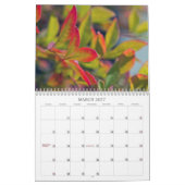 2013 Agenda voor fotografie Kalender (Mar 2027)