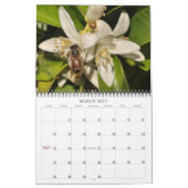 2013 Agenda voor fotografie Kalender (Mar 2027)