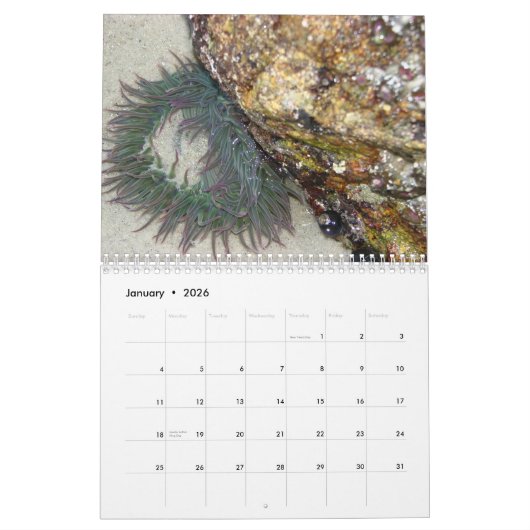 2013 Agenda voor foto's op cultureel erfgoed Kalender (Jan 2026)