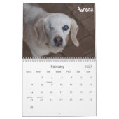 2013 Atlanta Beagle Rescue Calendar Kalender (Feb 2027)