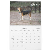 2013 Atlanta Beagle Rescue Calendar Kalender (Mar 2026)