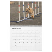 2013 Border Terrier Calendar Kalender (Feb 2027)