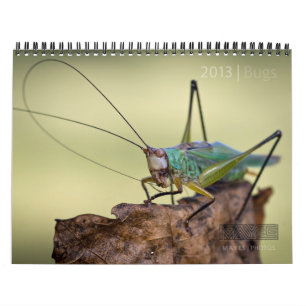 2013 BUGS "SPECIALE" KALENDERS PER MAYS   FOTO'S KALENDER