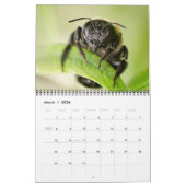 2013 BUGS "SPECIALE" KALENDERS PER MAYS | FOTO'S KALENDER (Mar 2026)