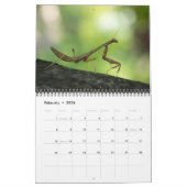 2013 BUGS "SPECIALE" KALENDERS PER MAYS | FOTO'S KALENDER (Feb 2026)