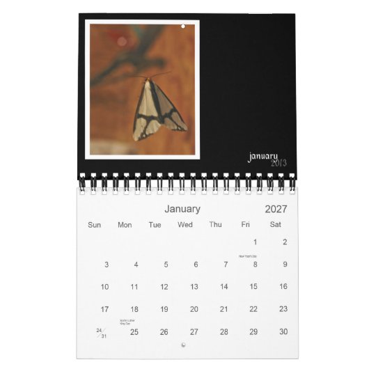 2013 Critters & Bugs Wall Calendar Kalender (Jan 2027)