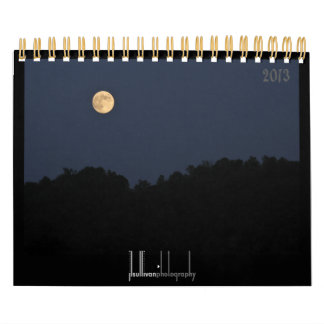 2013 Critters & Bugs Wall Calendar Kalender
