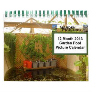 2013 de Kleine Kalender van de Pool van de Tuin -