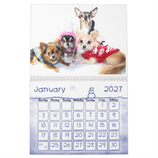 2013 de Obsessieve Kalender van de Wanorde (Jan 2027)