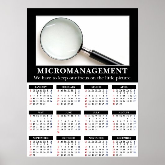 2013 Demotivationele wandkalender: microbeheer Poster (Voorkant)