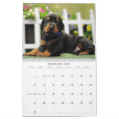 2013 Doberman Puppy Calendar Kalender (Feb 2027)