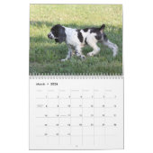 2013 Engelse Springer Spaniel Pups Kalender (Mar 2026)