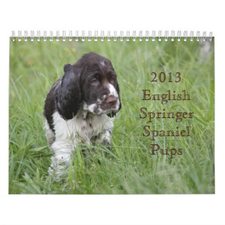 2013 Engelse Springer Spaniel Pups Kalender