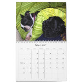 2013 Familie Honden Agenda Kalender (Mar 2027)