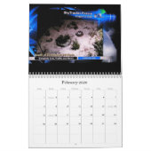 2013 - FW Dirt Calendar Kalender (Feb 2026)